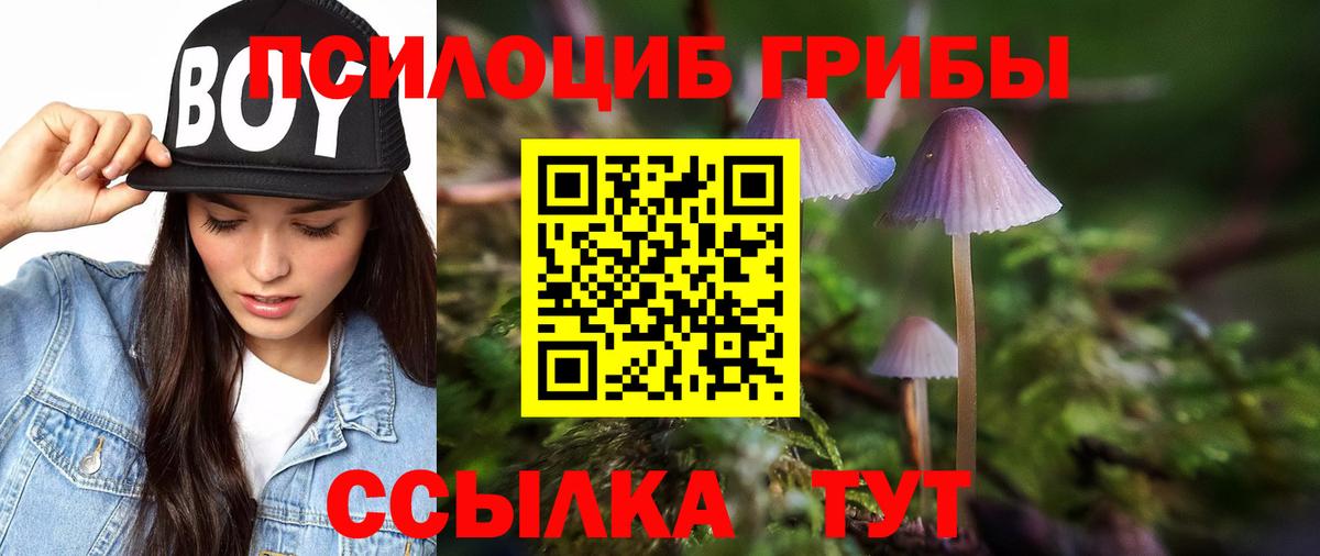 Саров  цена наркотик  Вход с VPN  Псилоцибиновые грибы ЛСД  Галлюциногенные грибы мухоморы 